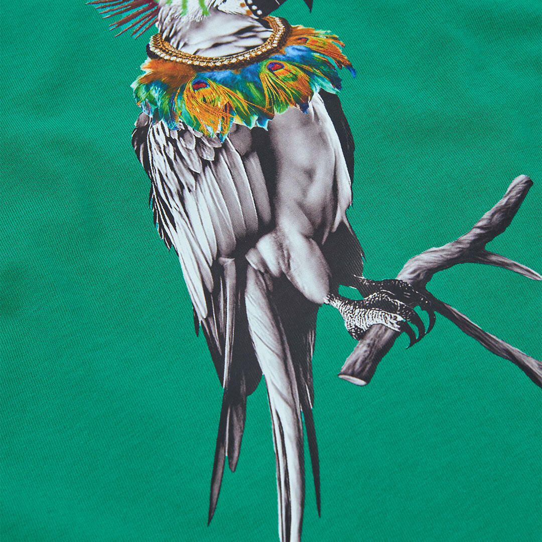 Camiseta de Algodón para Niño Verde con Estampado de Pájaro Exótico 4/4