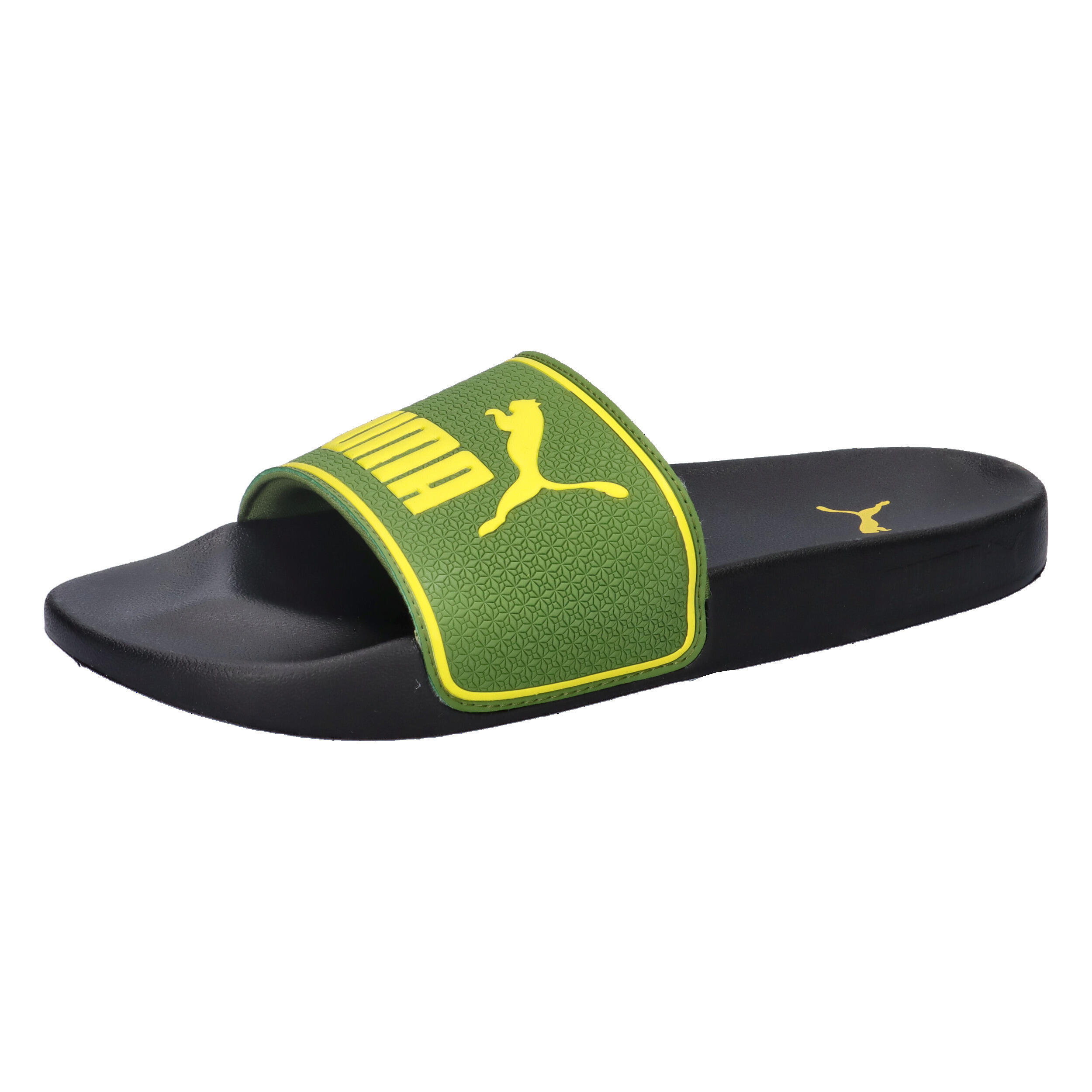 PUMA picture