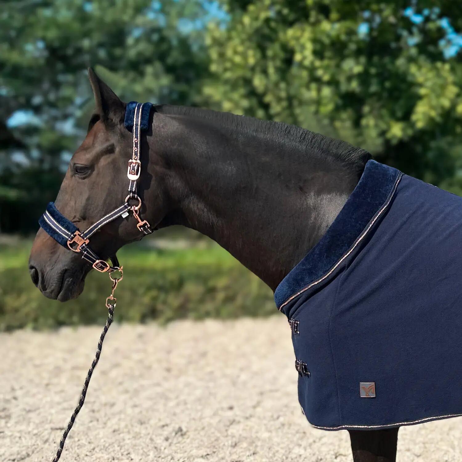Couverture polaire pour cheval York Gold Star 2/2