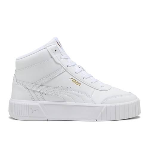 PUMA picture