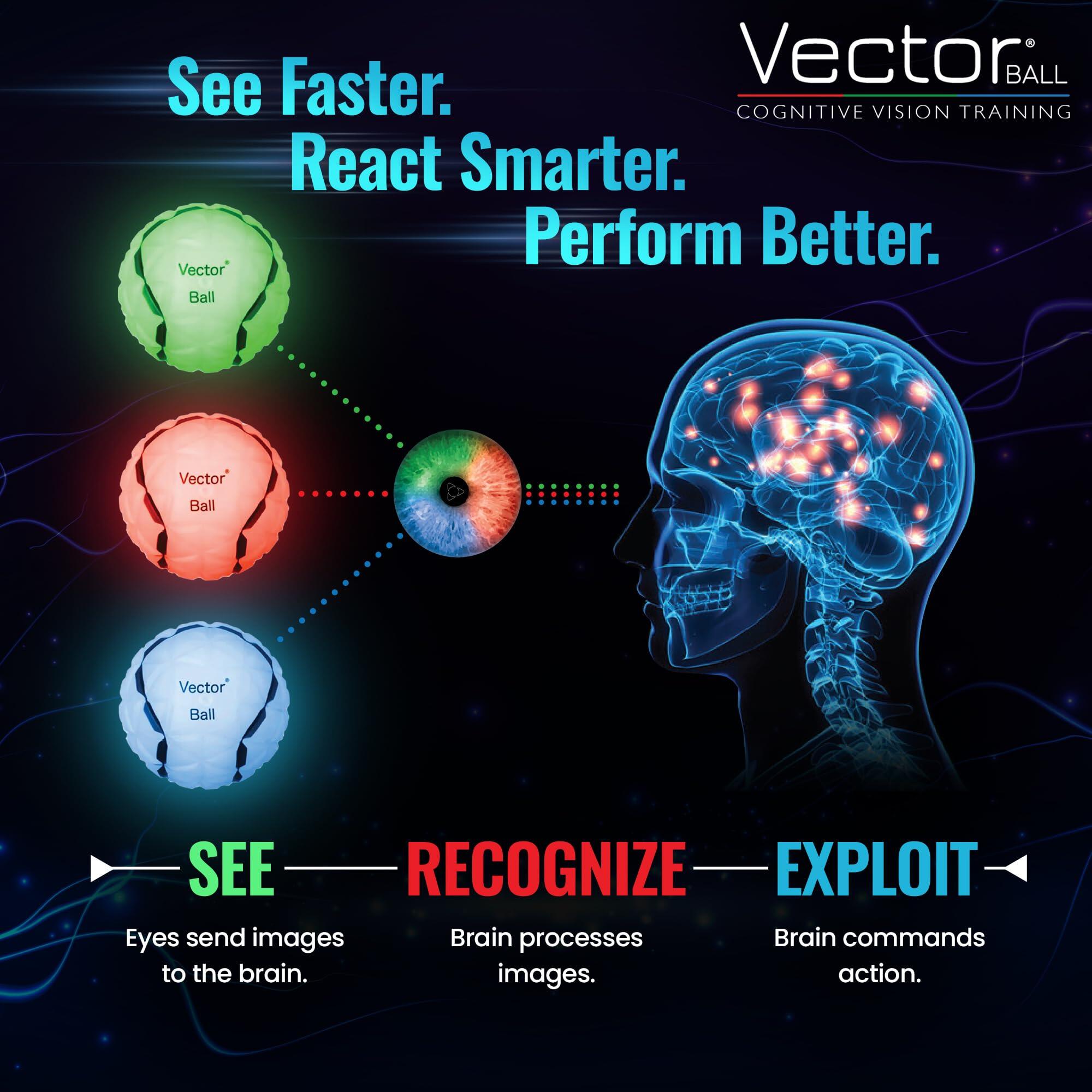 Vector Ball S Balle d'Entraînement Neuro-Visuel - Réflexes, Vitesse de Réaction 6/7