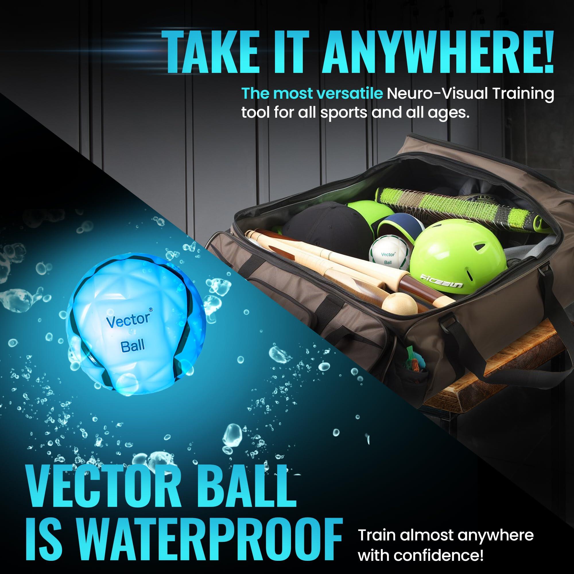 Vector Ball S Balle d'Entraînement Neuro-Visuel - Réflexes, Vitesse de Réaction 4/7