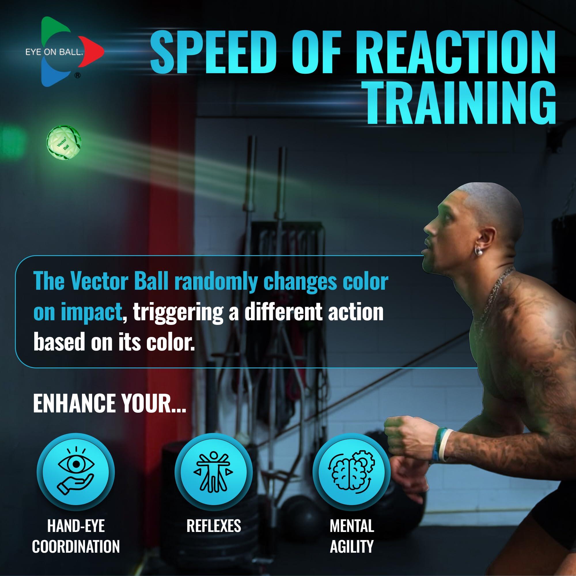 Vector Ball S Balle d'Entraînement Neuro-Visuel - Réflexes, Vitesse de Réaction 3/7