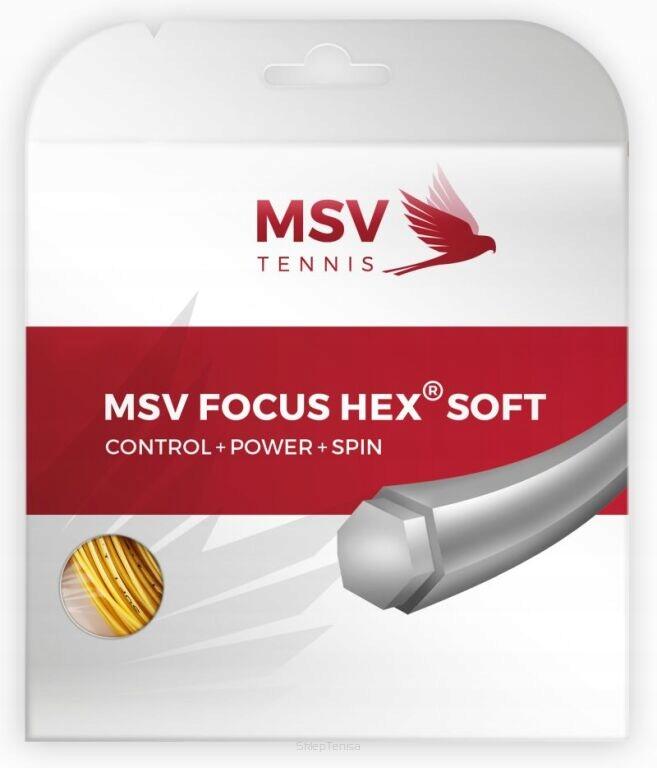 MSV TENNIS picture