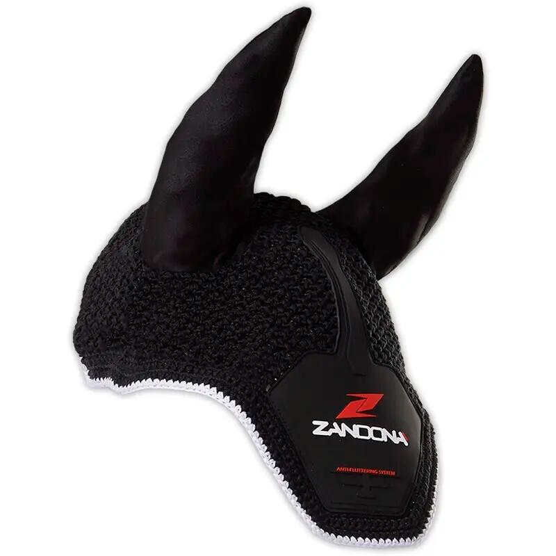 ZANDONÀ picture