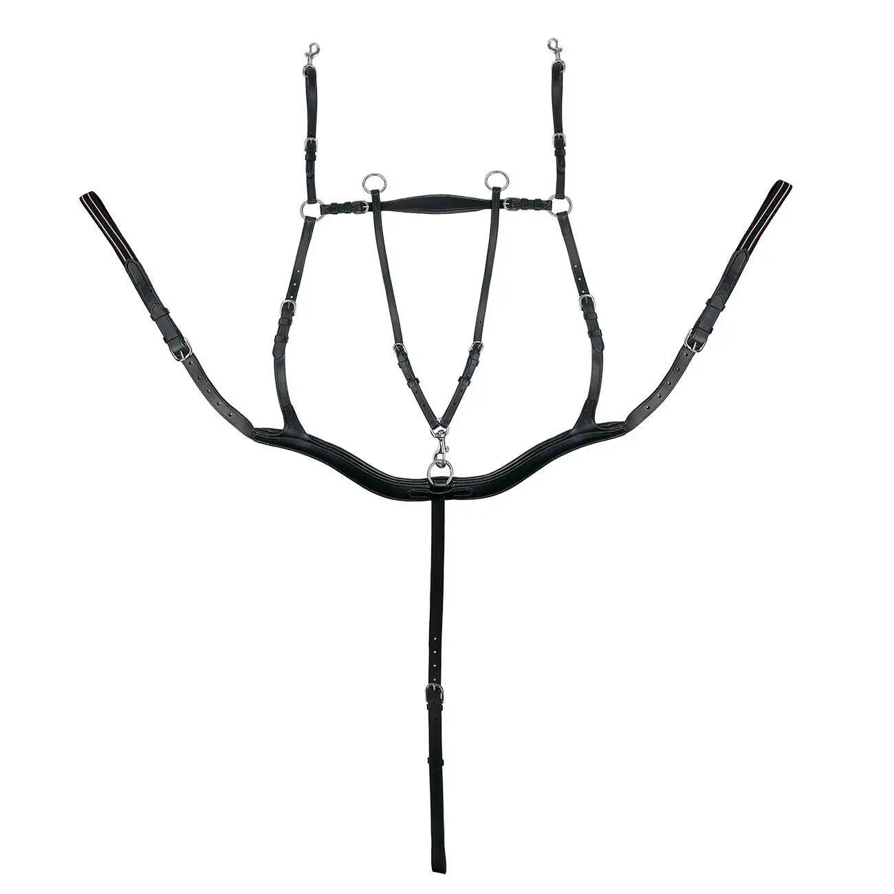 Collier de chasse pour cheval à 5 points York Eddy 1/1