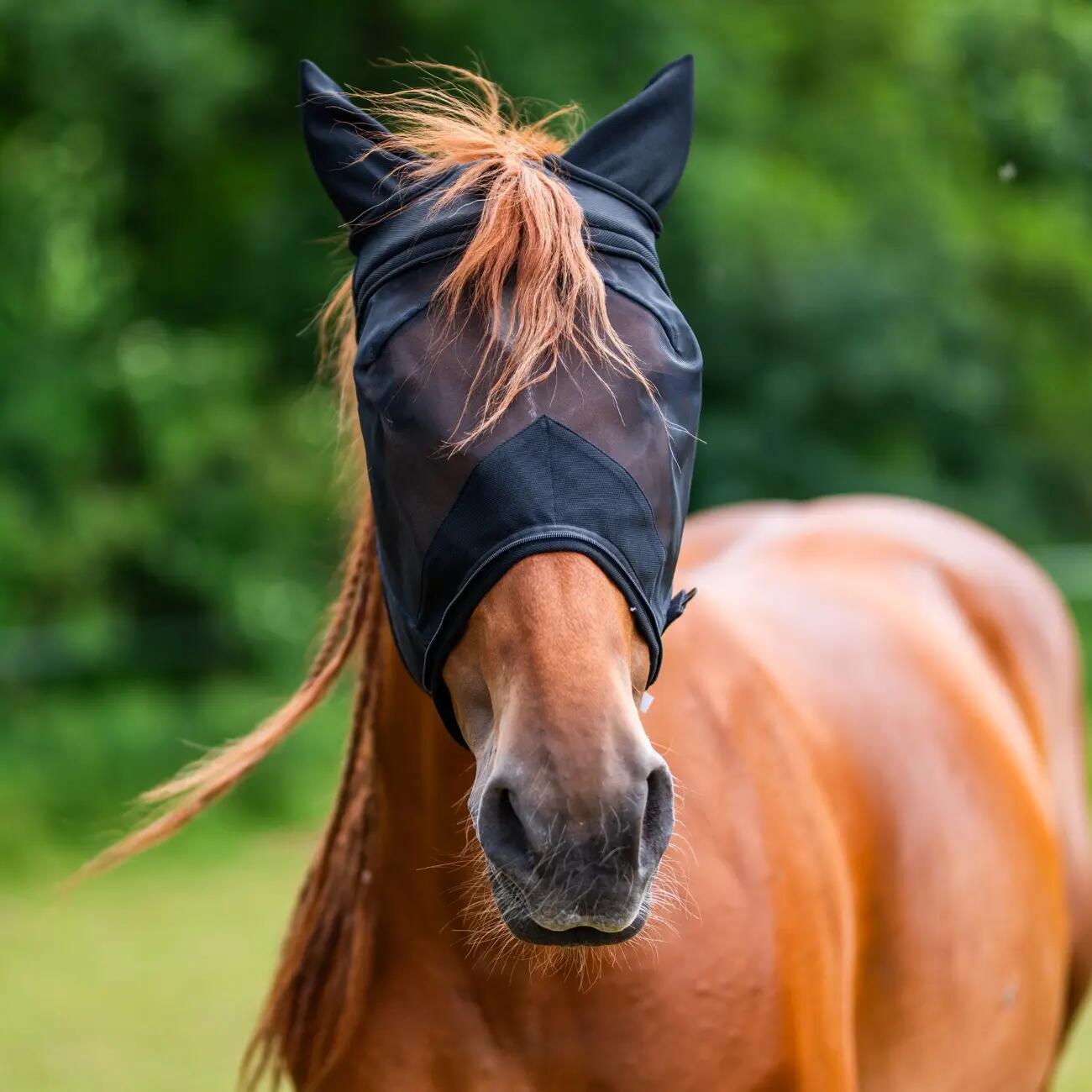 Vliegenmasker voor paard 3 in 1 York Syntia 4/4