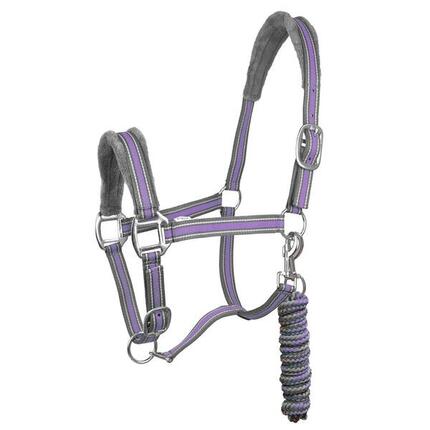 Ensemble licol et longe pour cheval York Calipso