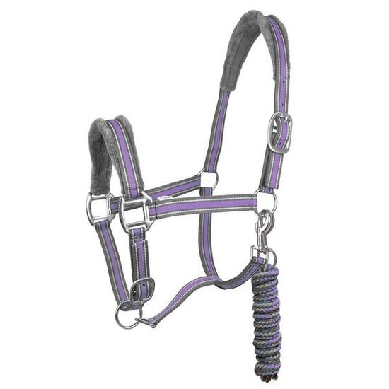 Ensemble licol et longe pour cheval York Calipso