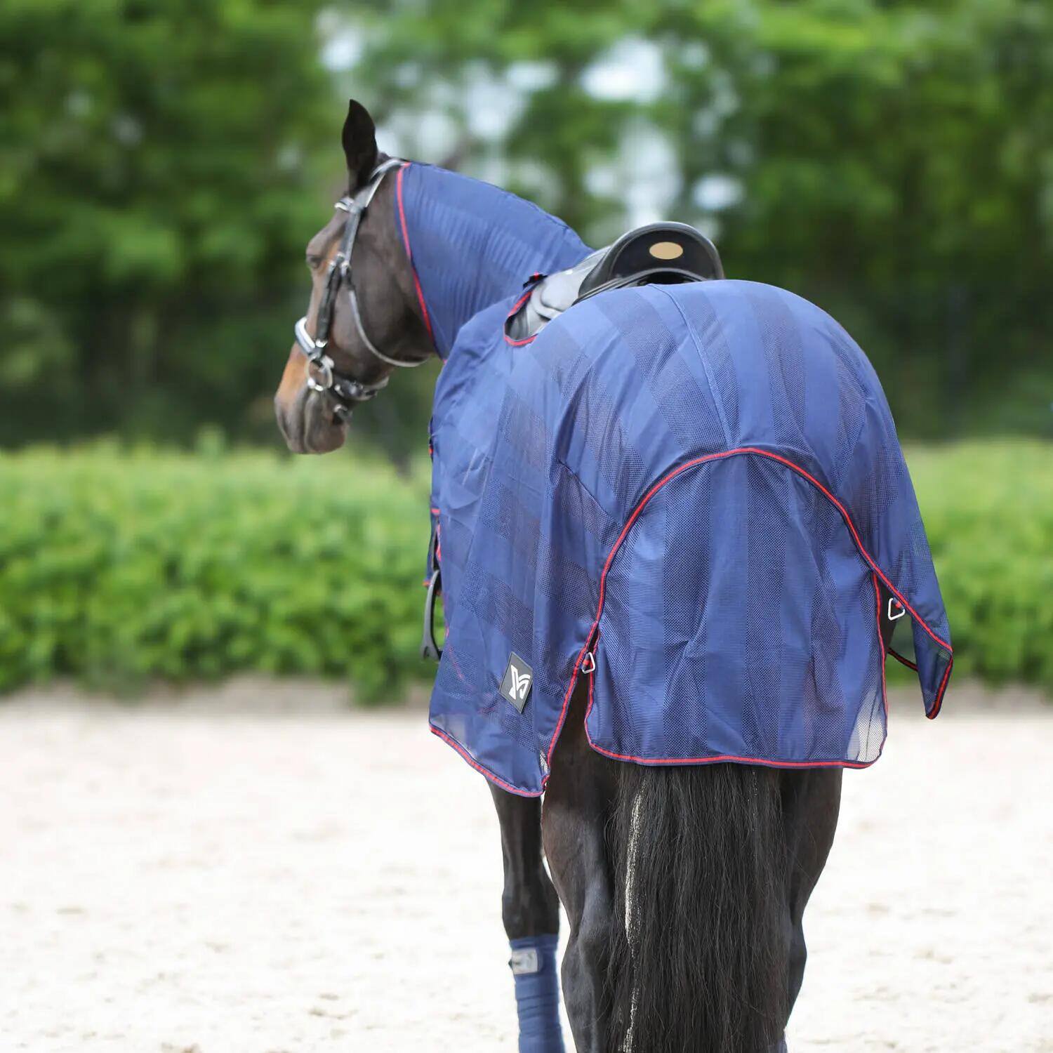 Copertura anti-zanzare per cavallo da allenamento York Lyra 3/3