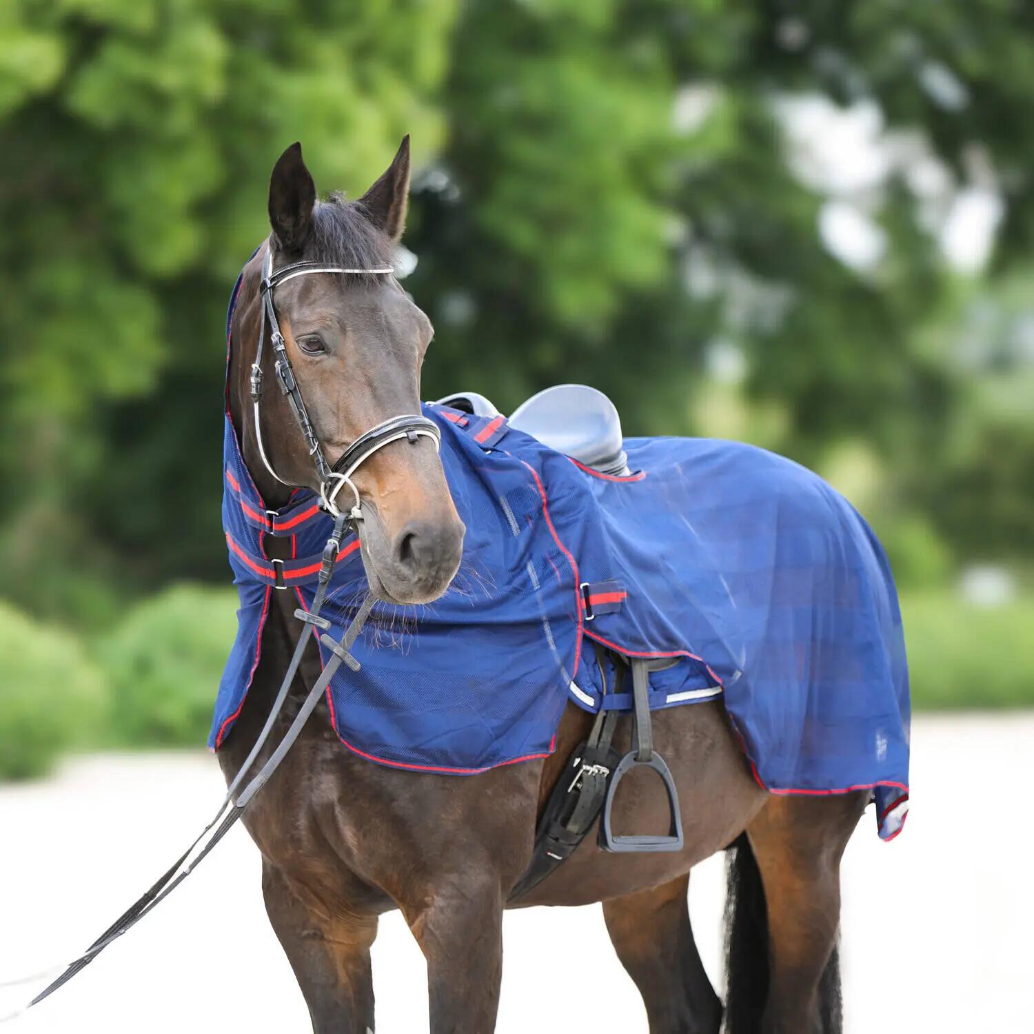 Copertura anti-zanzare per cavallo da allenamento York Lyra 2/3