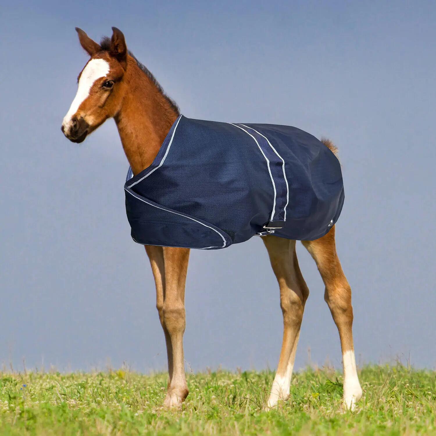Couverture d'extérieur pour cheval York Foal 100 g 2/2