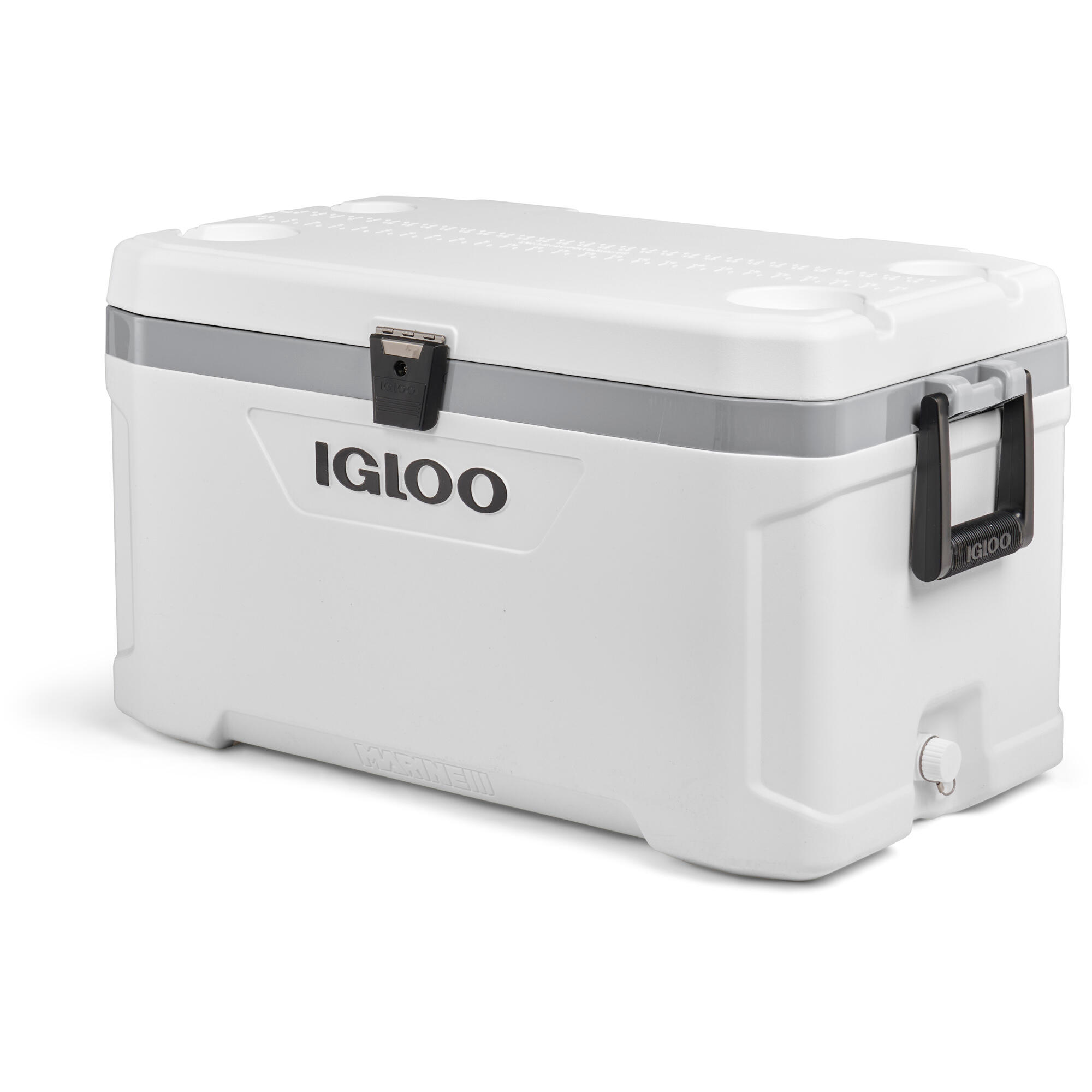 IGLOO picture