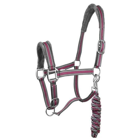 Ensemble licol et longe pour cheval York Calipso