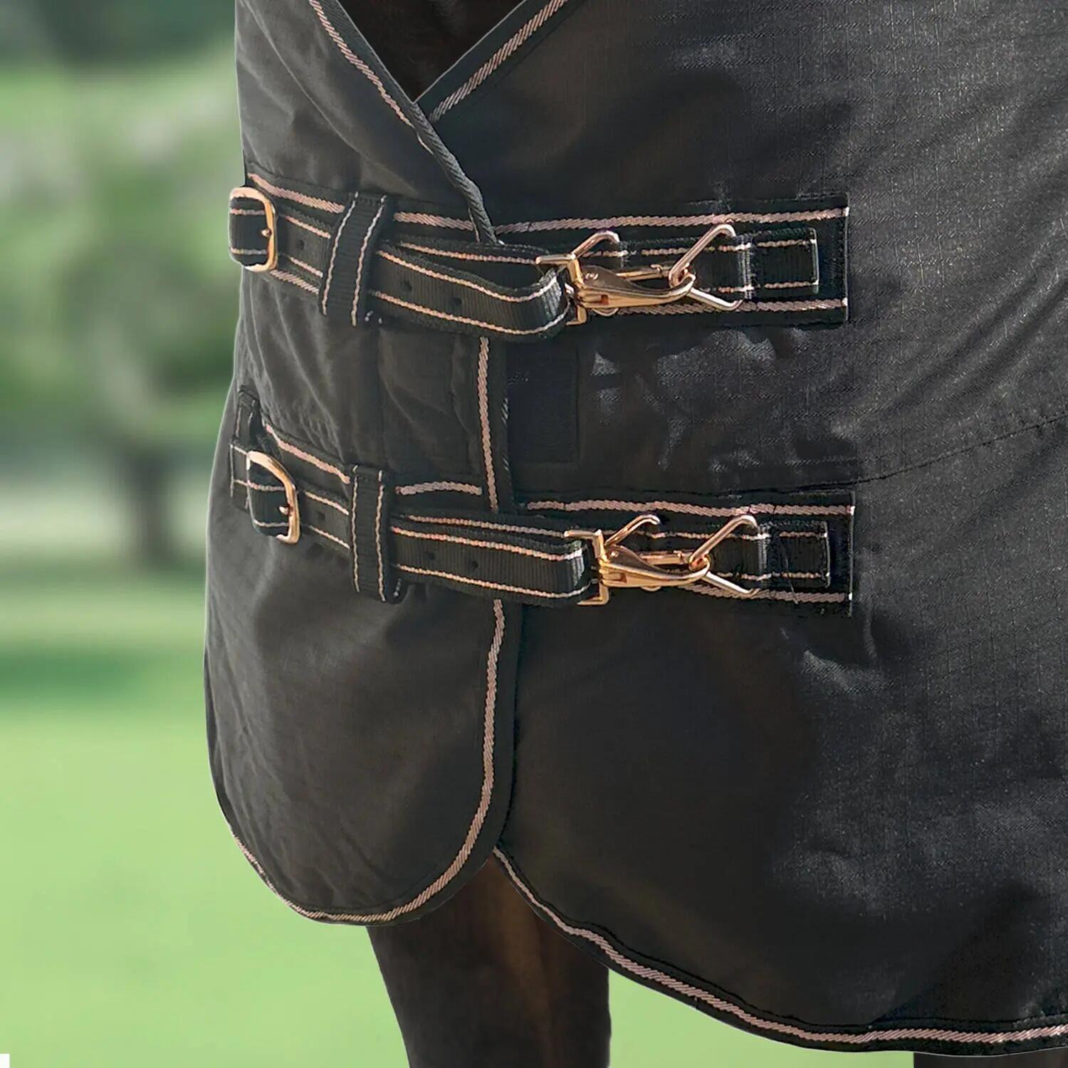 Couverture d'extérieur pour cheval York Gold Star 100 g 3/3