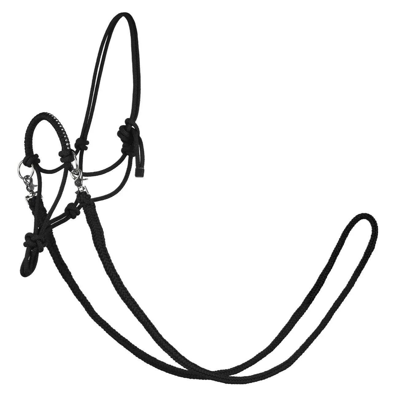 Licol pour cheval York Zirco 1/1