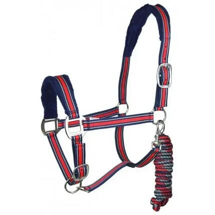 Ensemble licol et longe pour cheval York Calipso