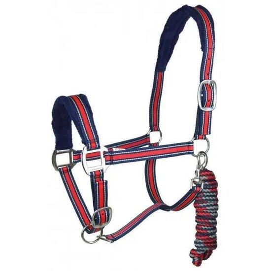 Ensemble licol et longe pour cheval York Calipso