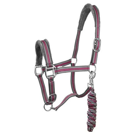 Ensemble licol et longe pour cheval York Calipso