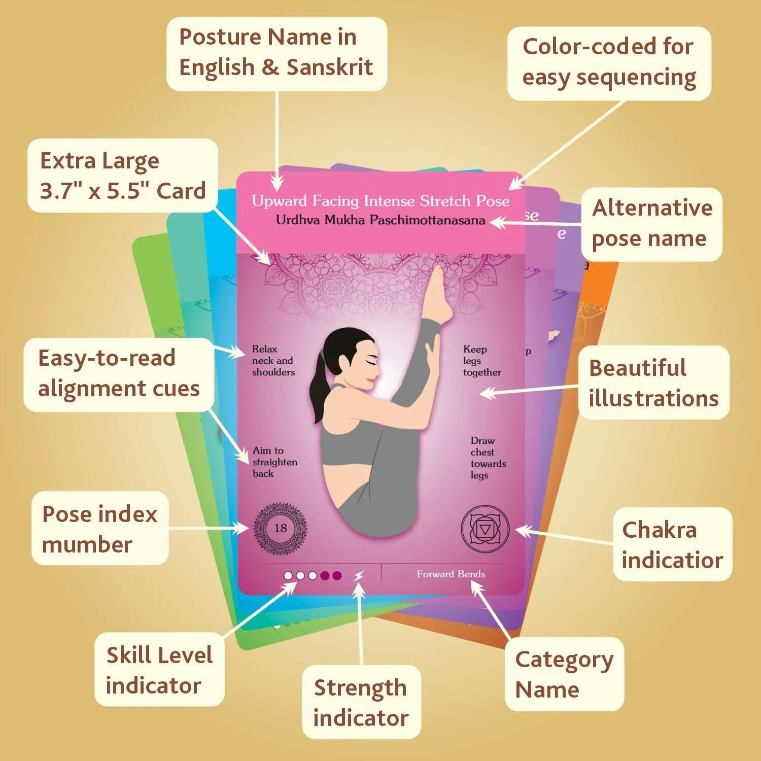 The Original Yoga Asana Cards - Deck d'Entraînement Avec Plus de 120 Poses 3/6