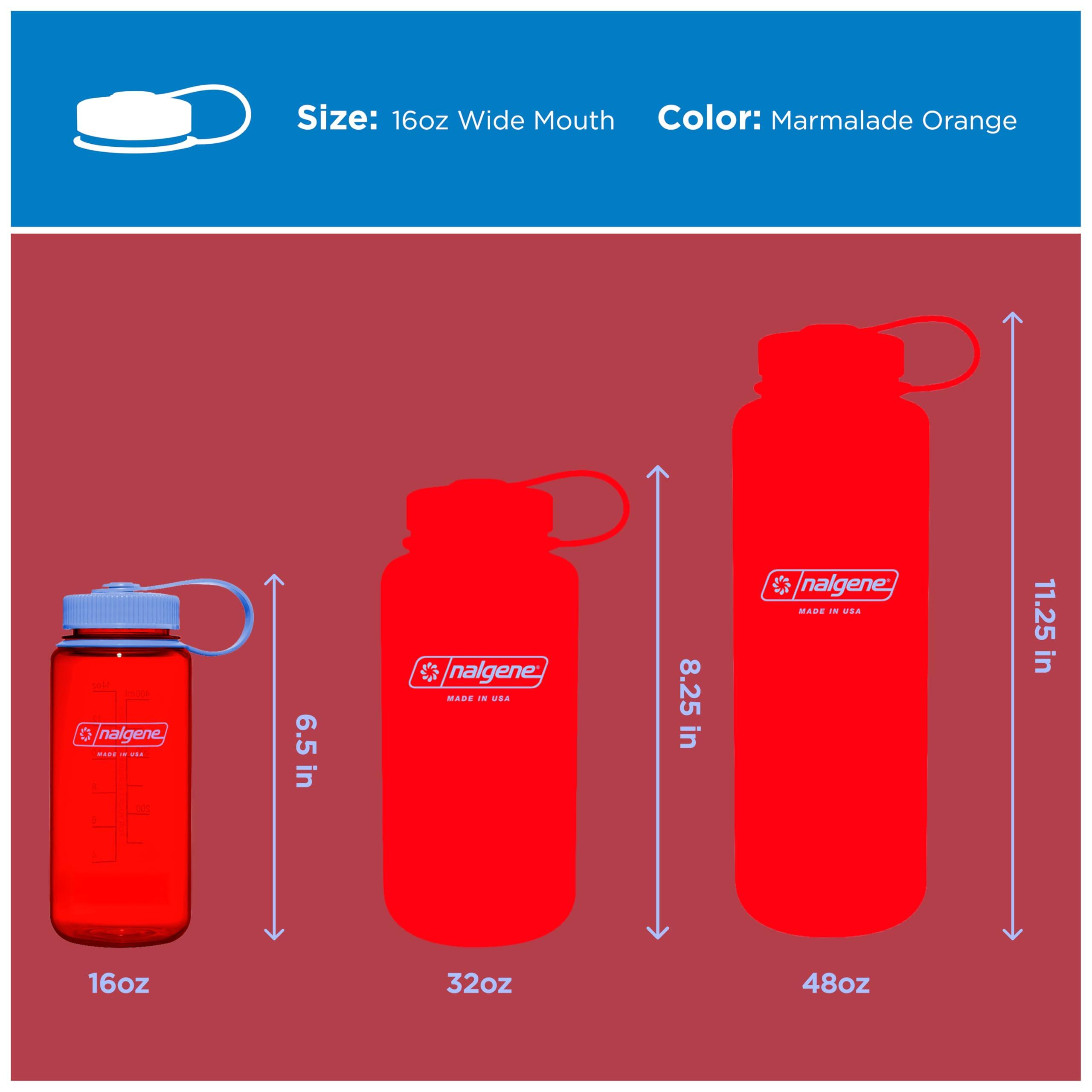 Bouteille d'eau – Gourde légère en Tritan sans BPA incassable pour randonnée 5/6