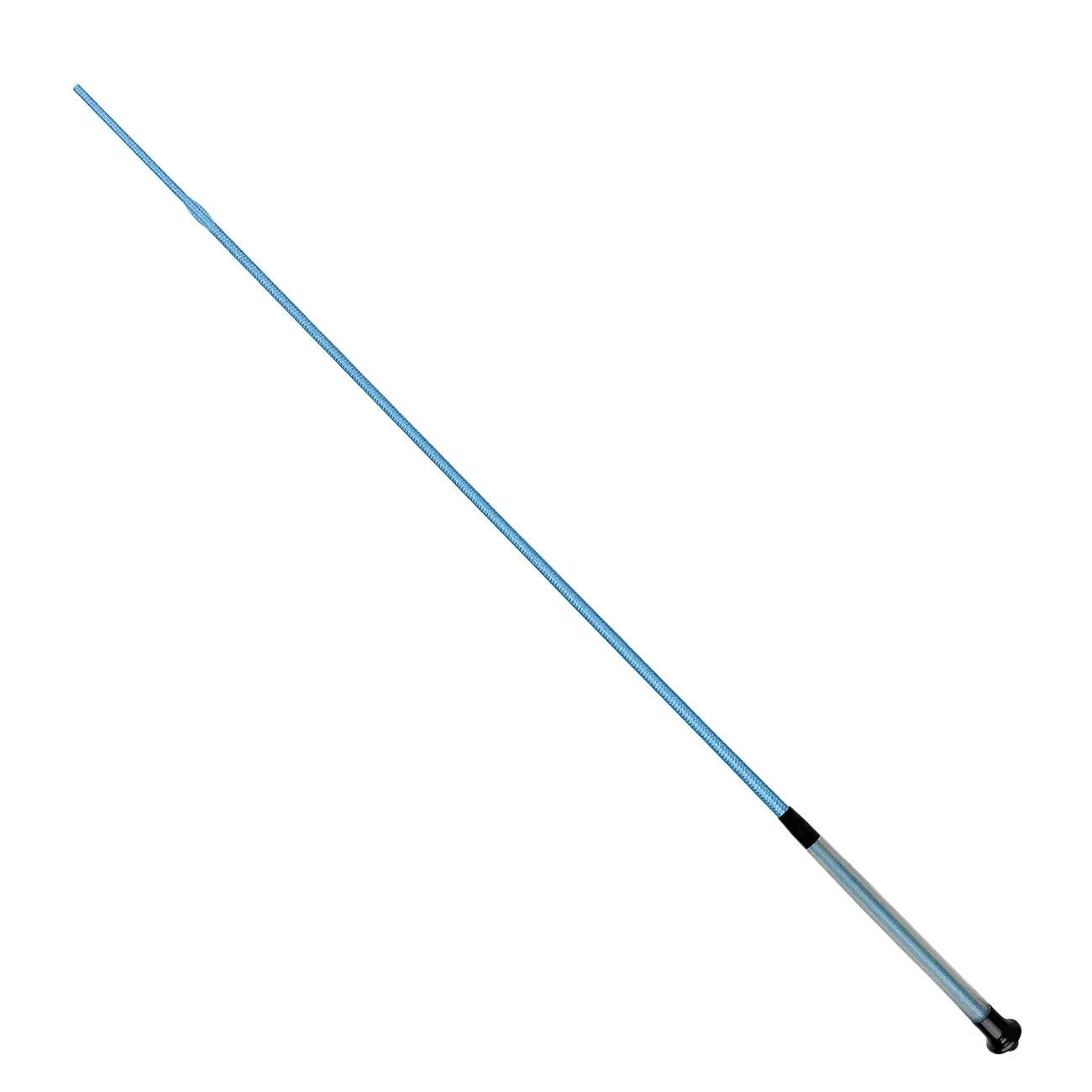 bleu / bleu bleuet