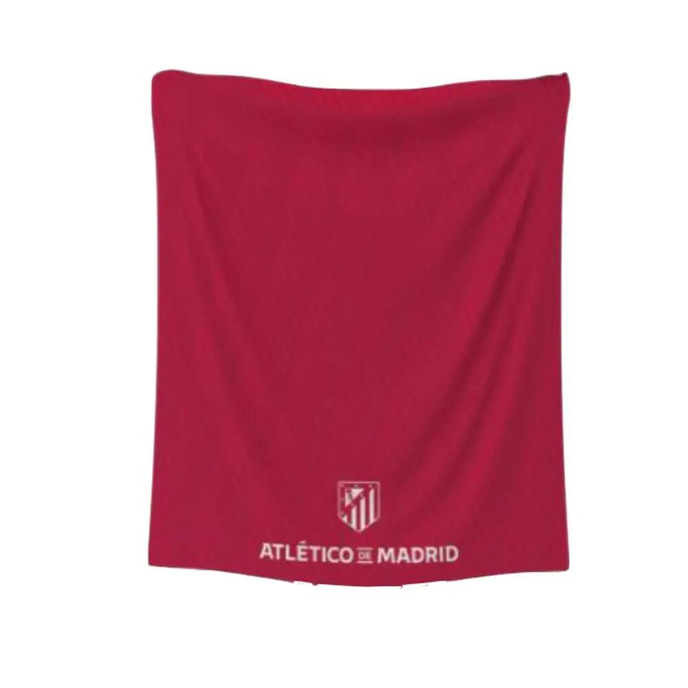 ATLETICO MADRID  picture