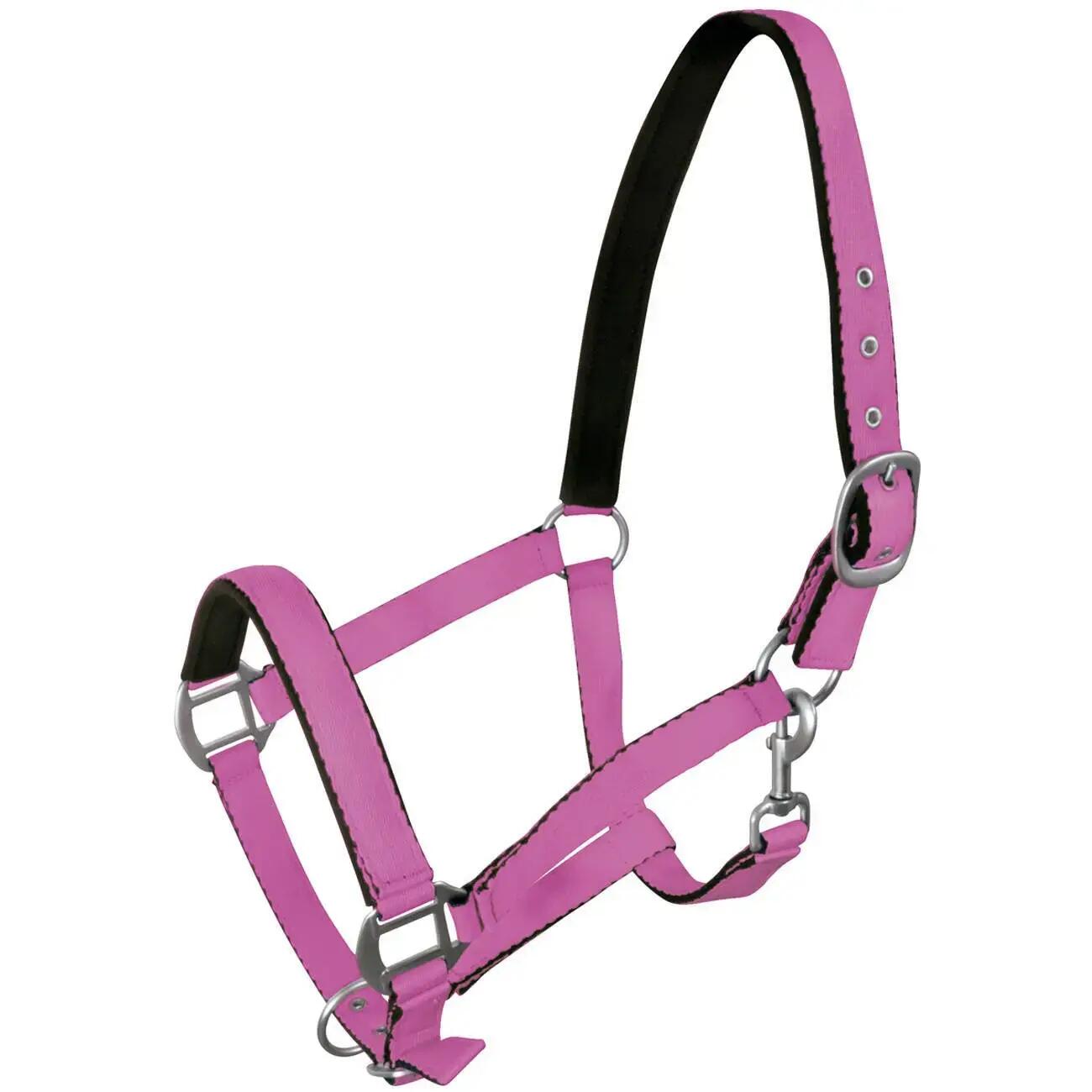 Halster voor paarden York 1/1