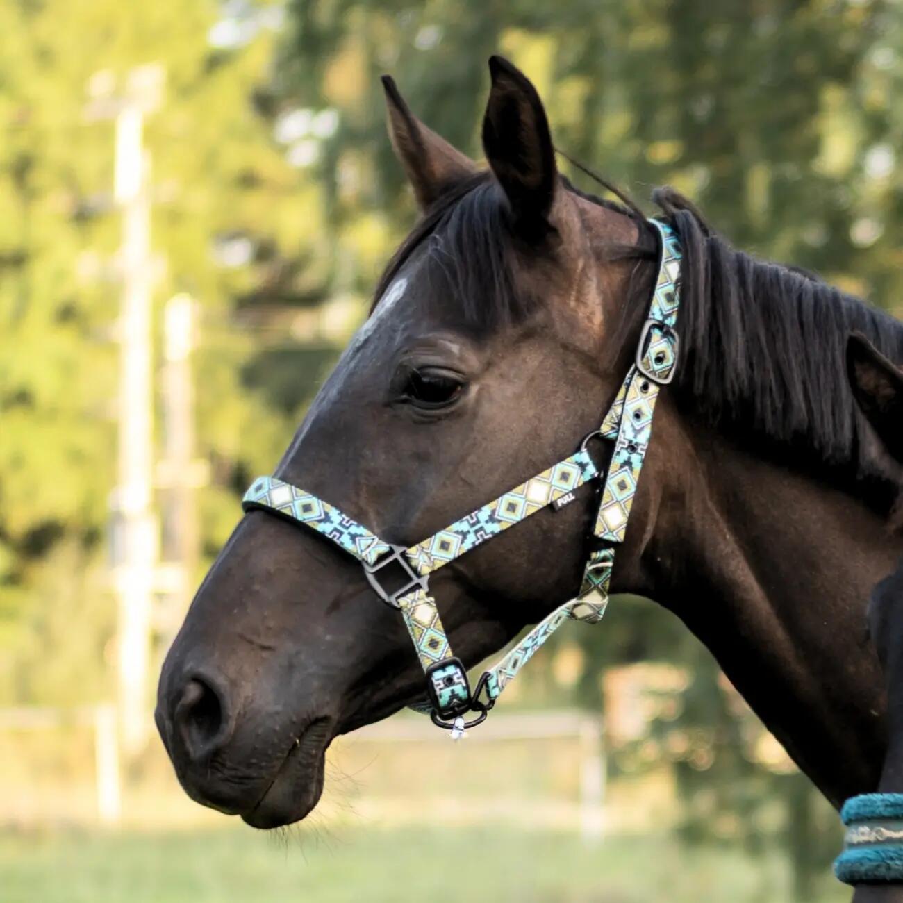 Halter for horse York West 2/2