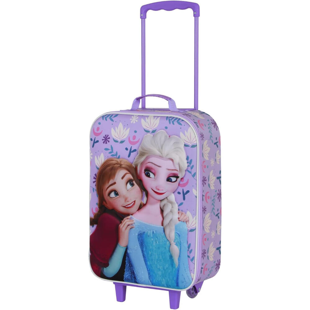 DISNEY FROZEN picture