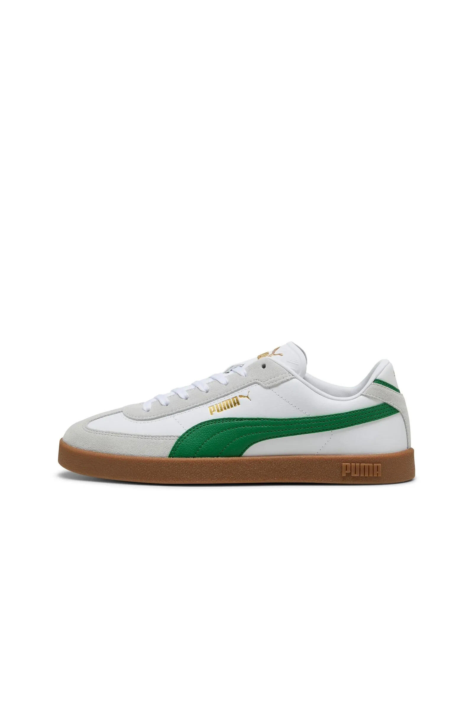 PUMA picture