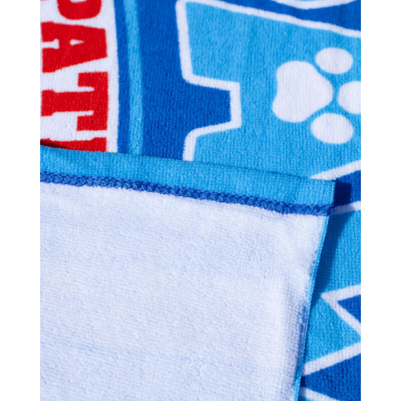 TOALHA INFANTIL 70X140CM MICROFIBRA PAW PATROL 3/3