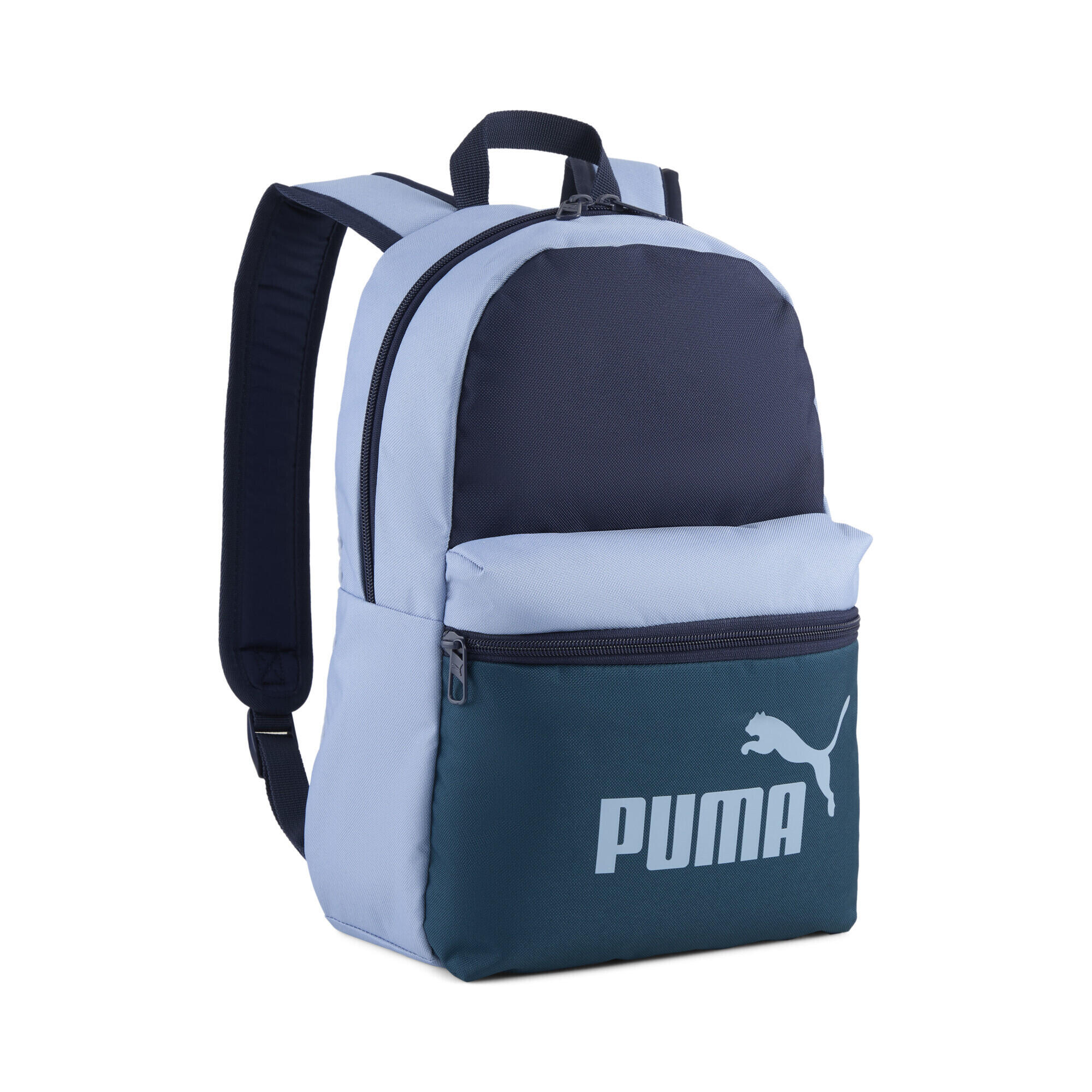 PUMA picture