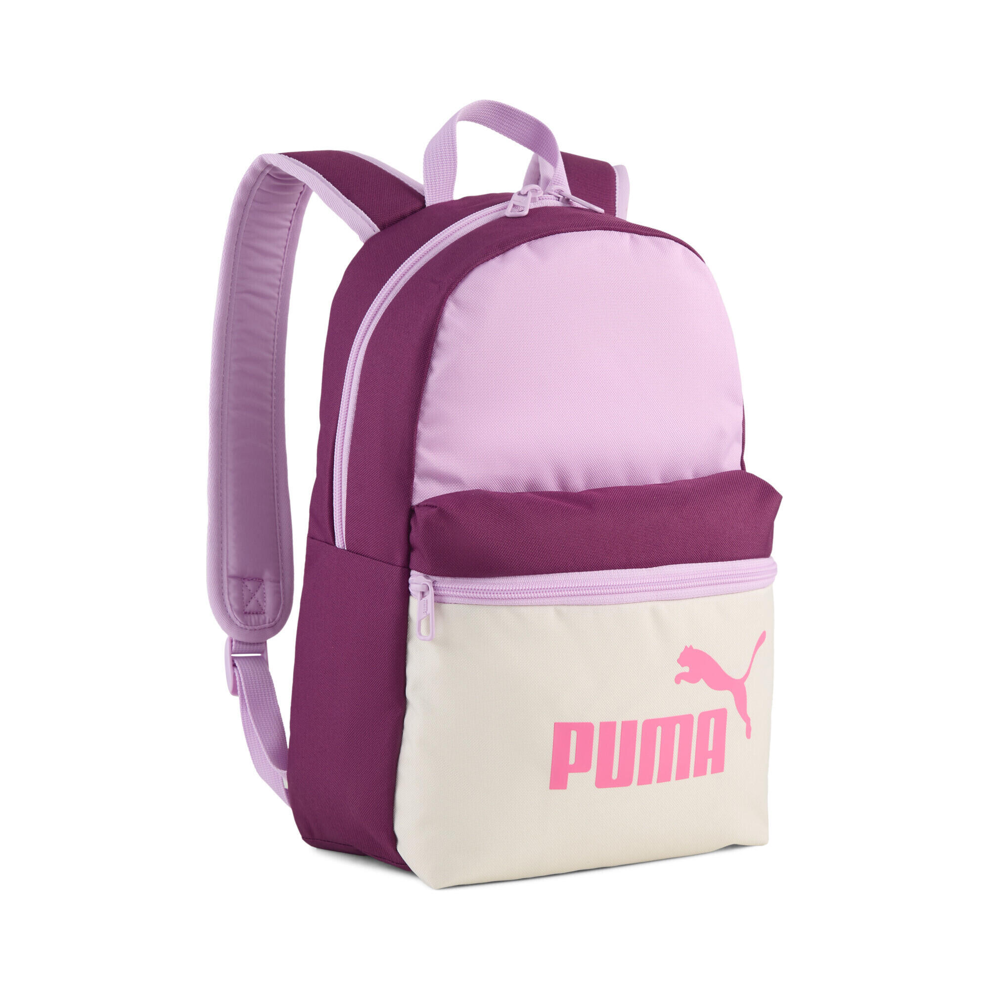 PUMA picture