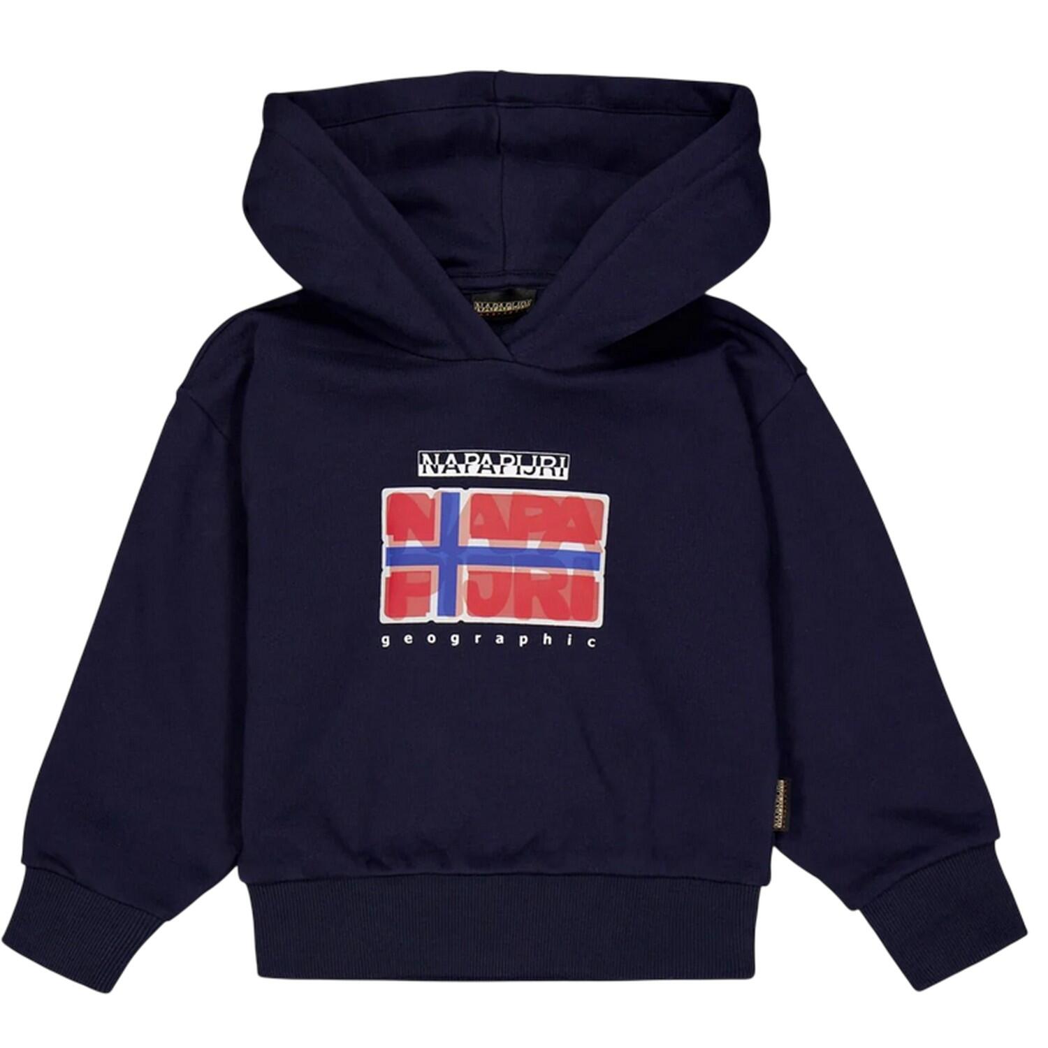 Napapijri Childrens/Kids Sella Flag Hoodie