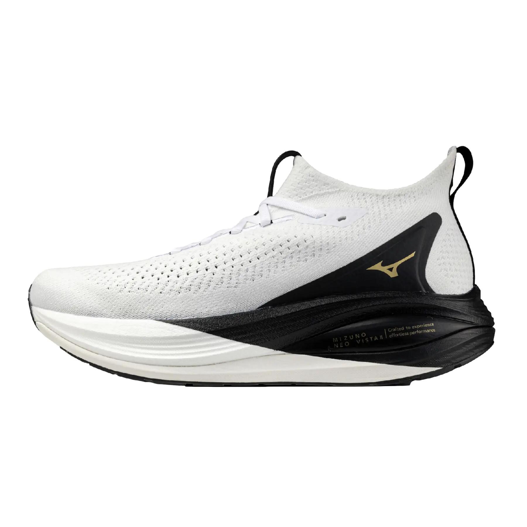 MIZUNO picture
