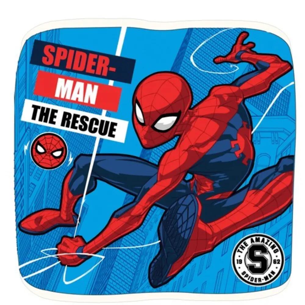 SPIDERMAN picture