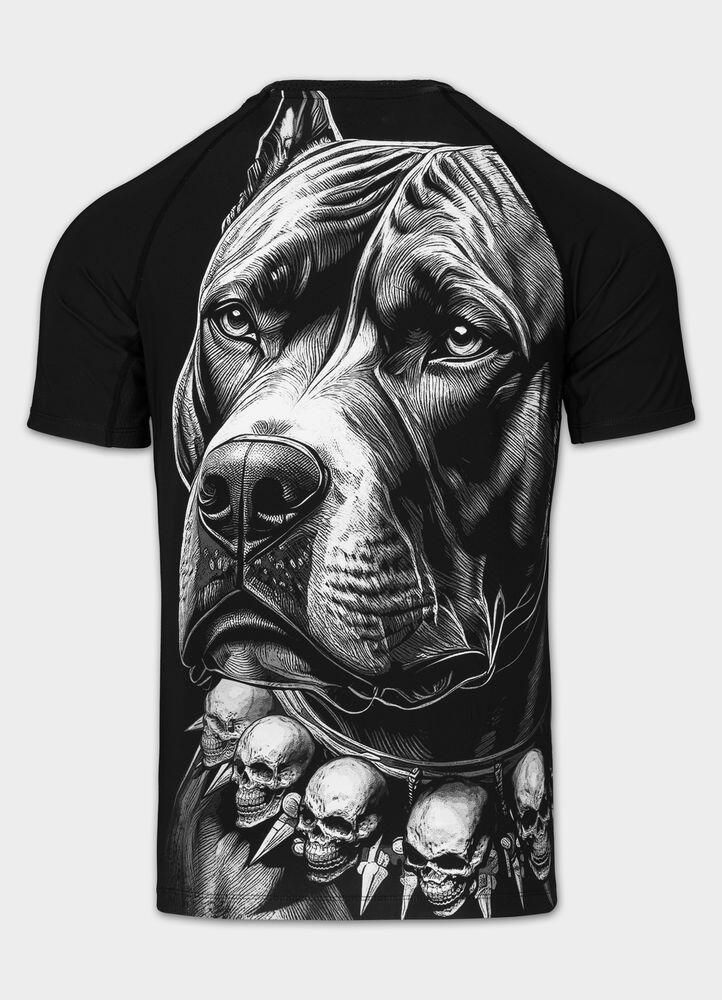 PITBULL picture