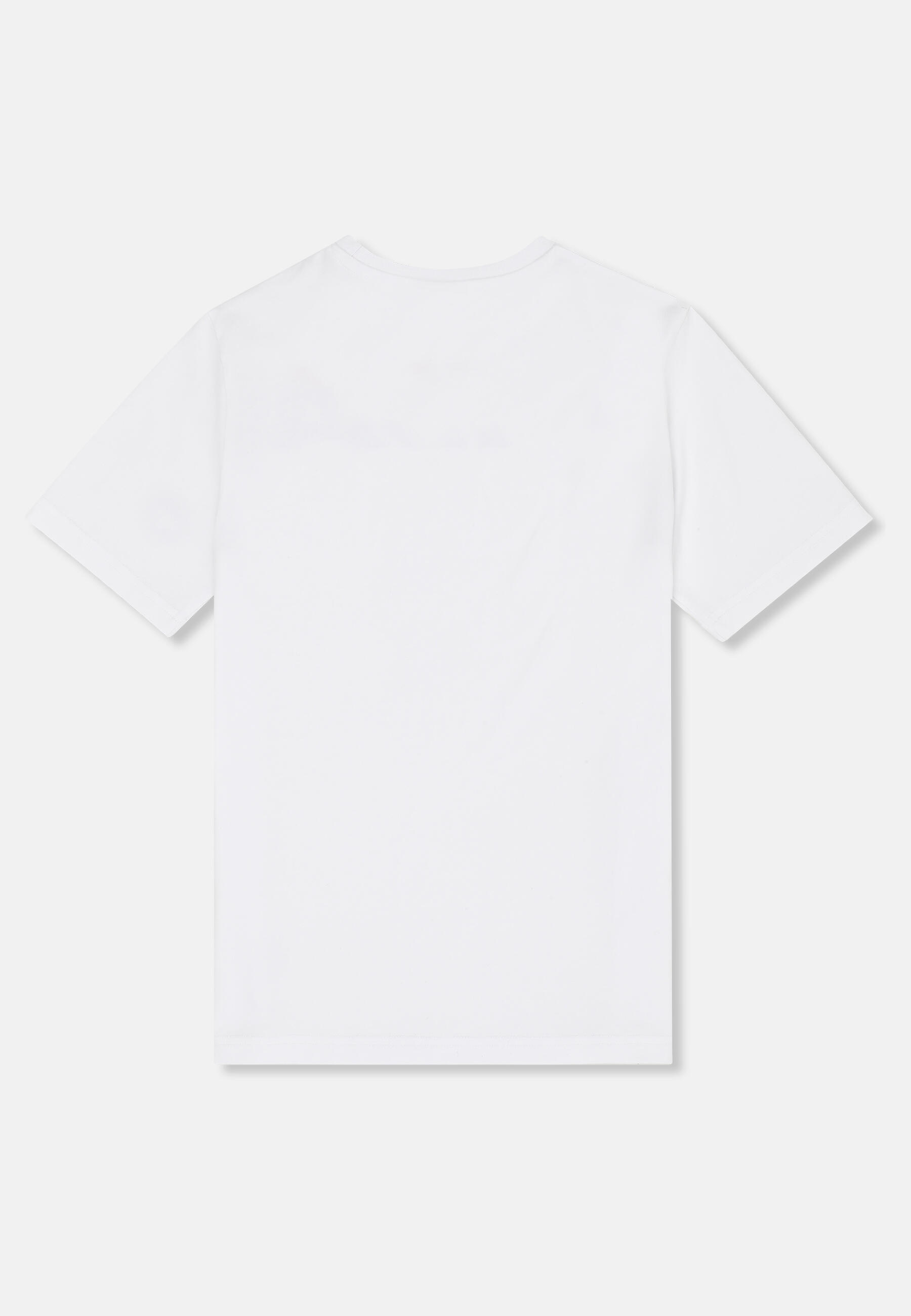 T-shirt graphique regular FILA Apparel VALVERSI 2/3