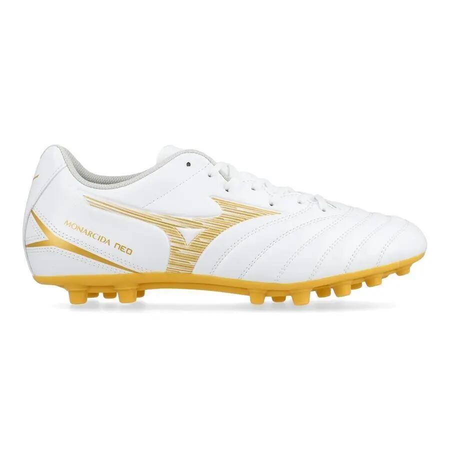 MIZUNO picture