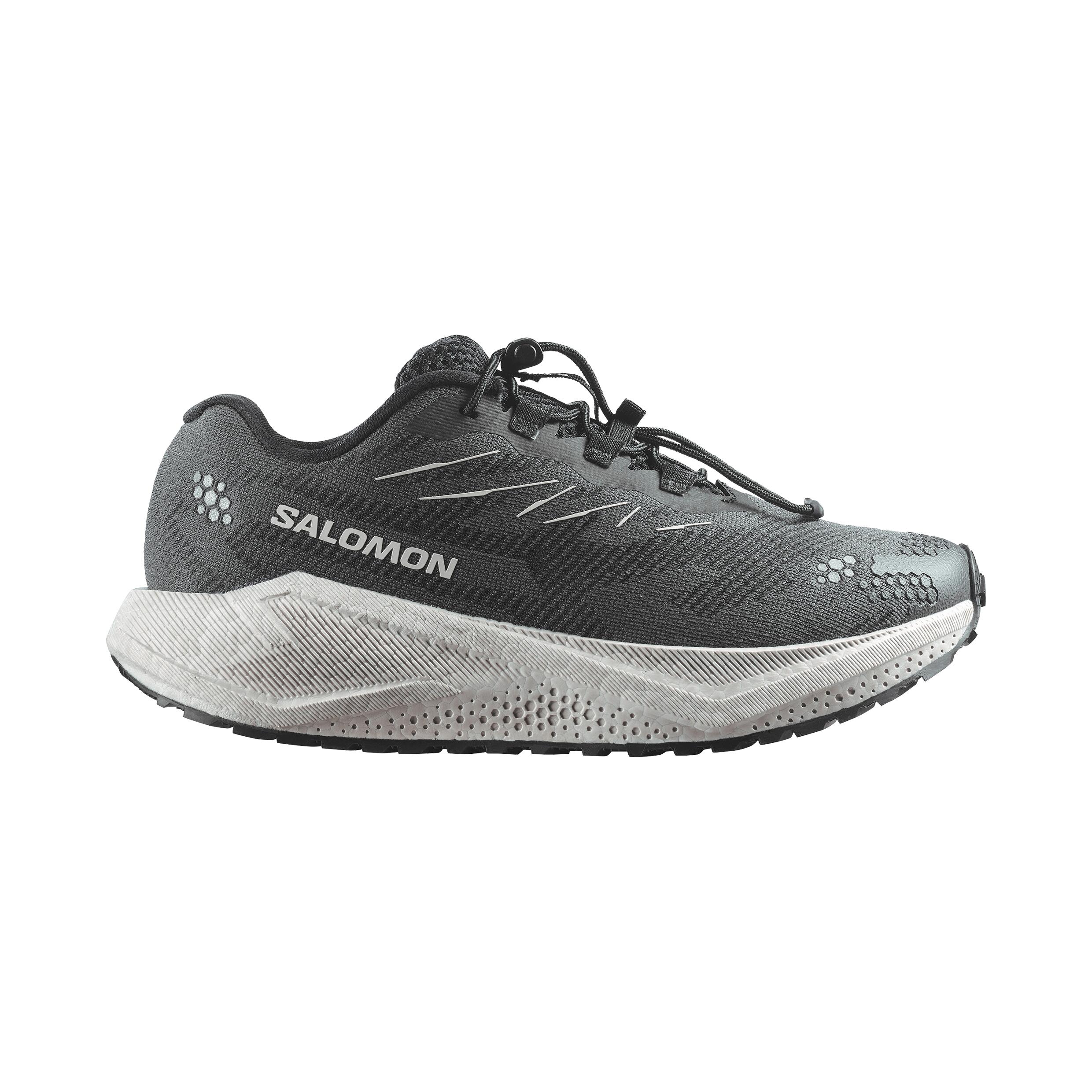 SALOMON picture