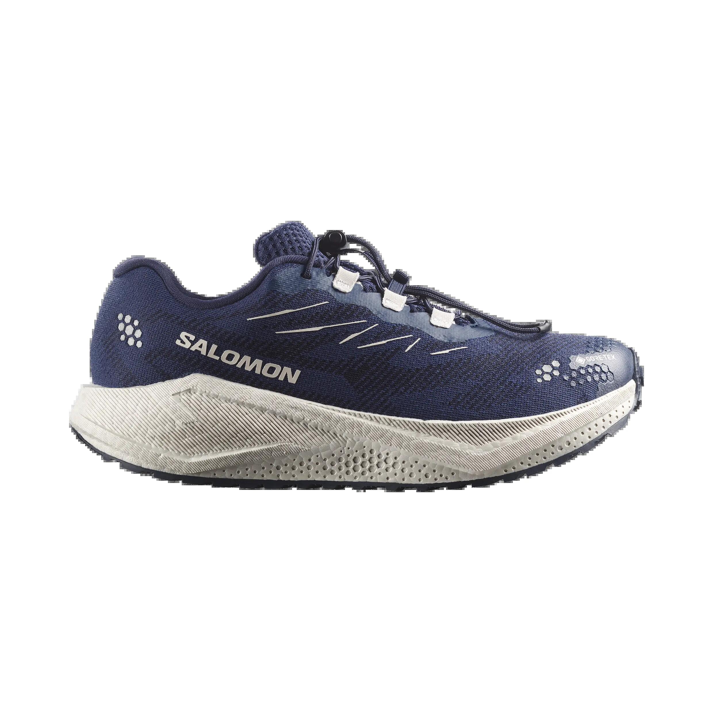 SALOMON picture