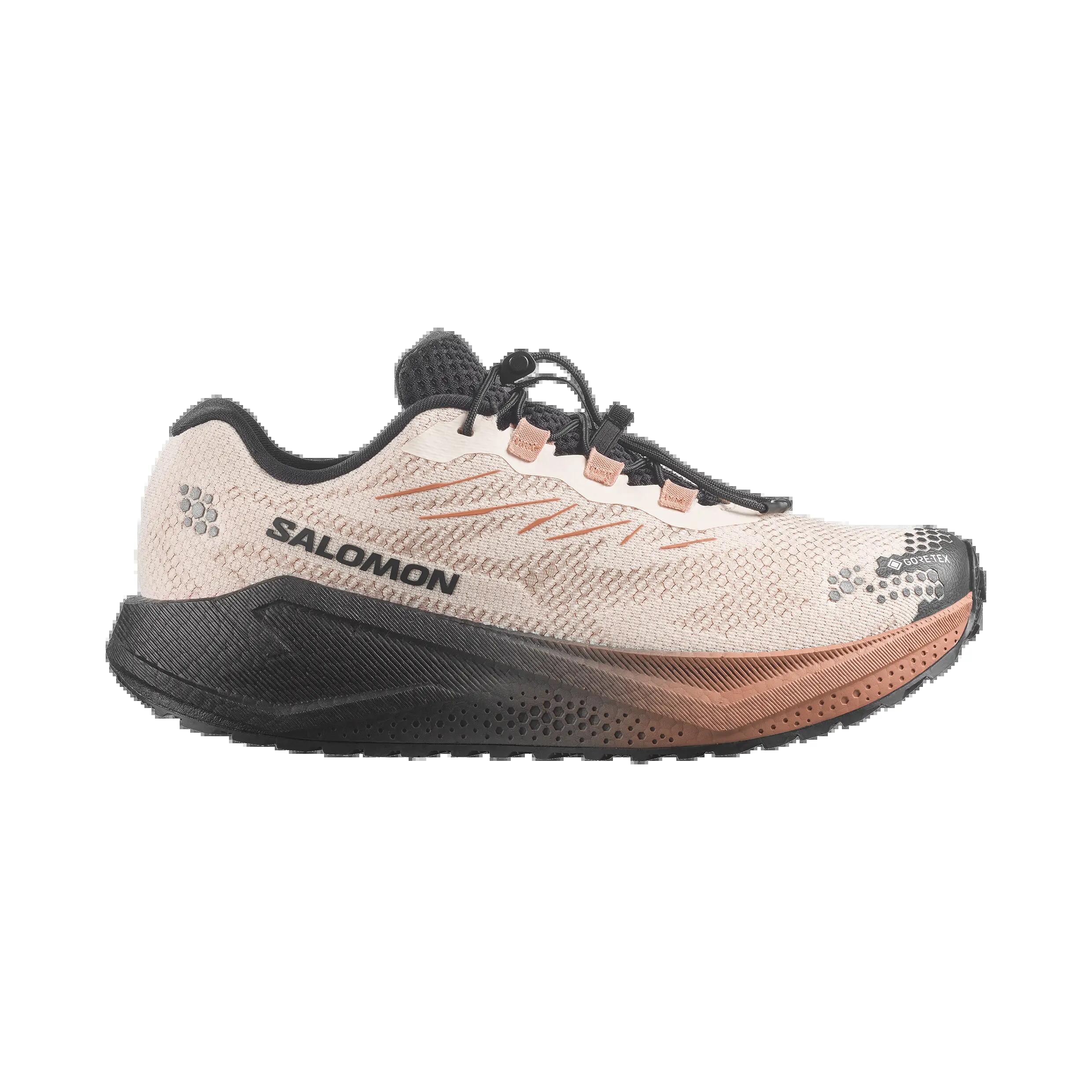 SALOMON picture