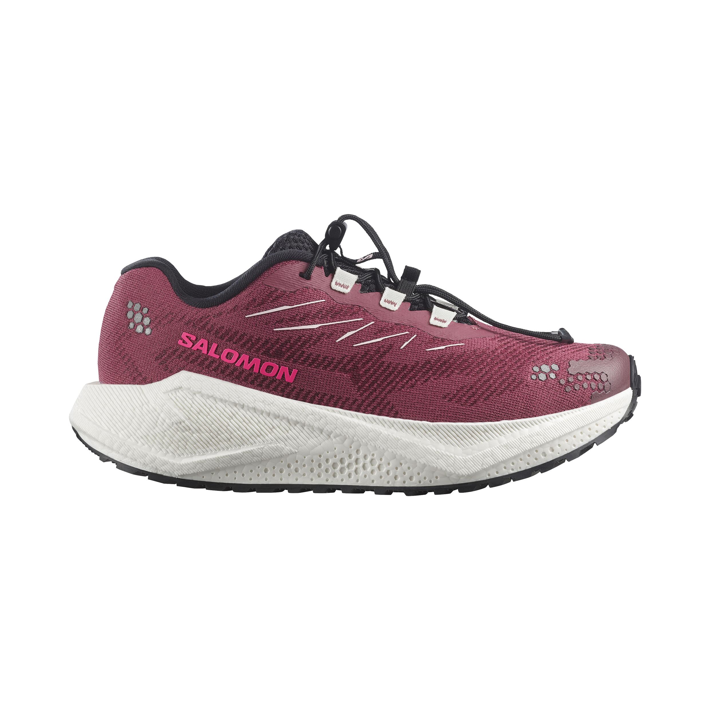 SALOMON picture