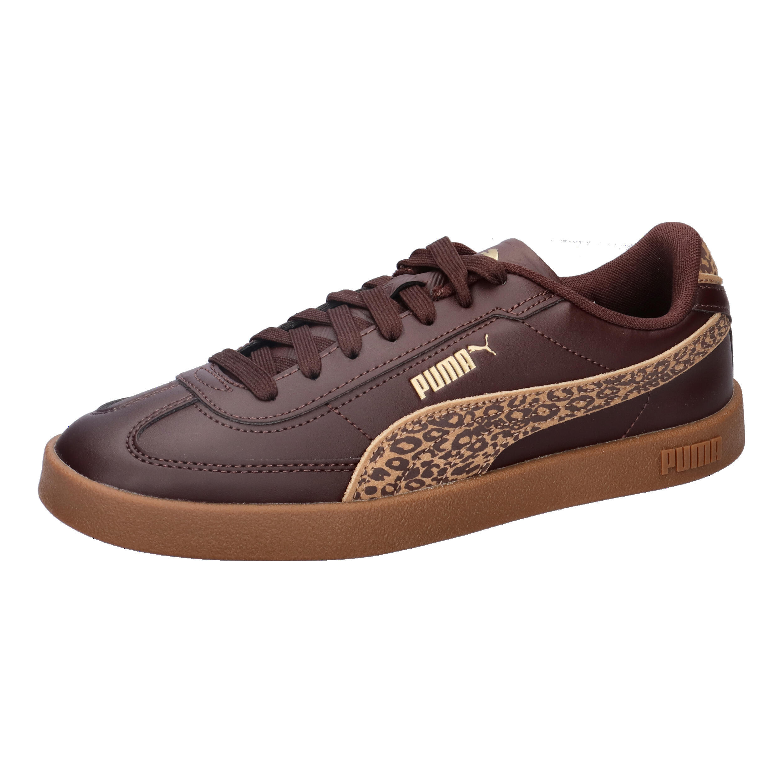 PUMA picture