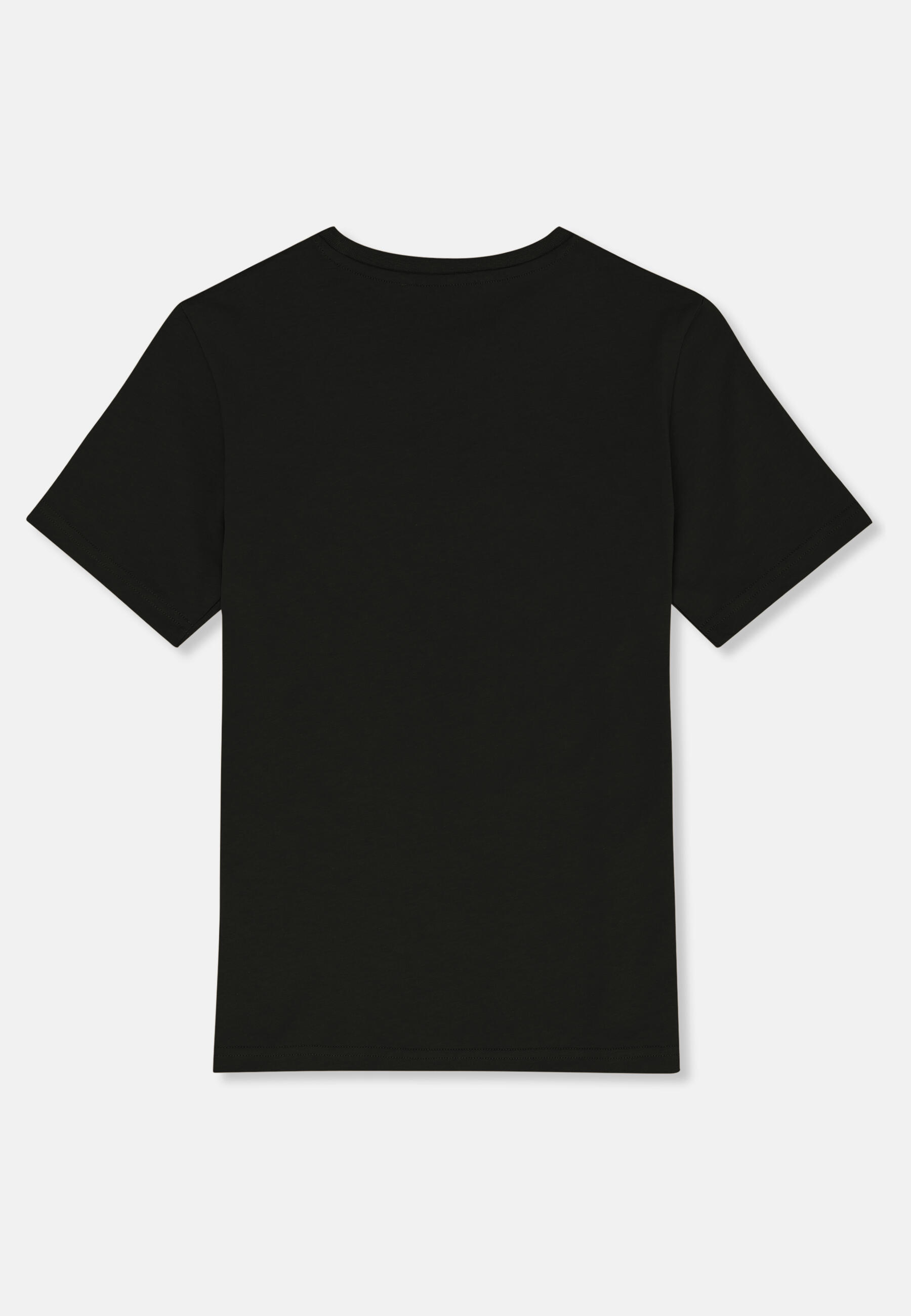 T-shirt à bande regular FILA Apparel FORCOLI 2/3
