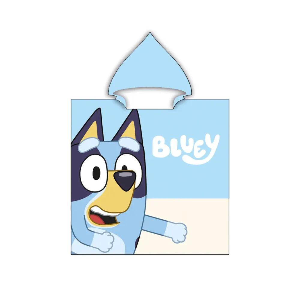 BLUEY picture