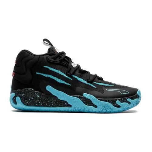 PUMA picture