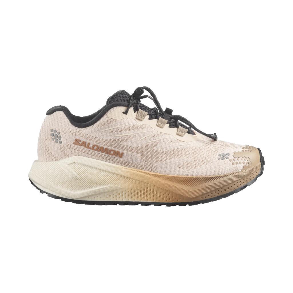 Women running Shoes Salomon Aero Blaze 4 GRVL