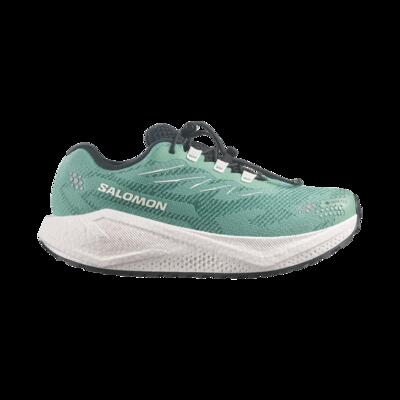 Schoenen gravel running vrouwen aero blaze 4 grvl gtx